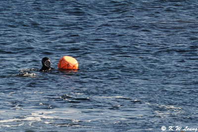 Woman Diver DSC_7852