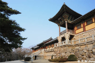 Bulguksa Temple DSC_7651