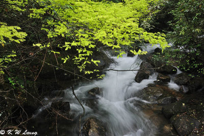 Shibashui Waterfalls DSC_1427