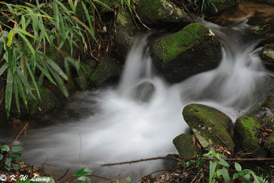 Shibashui Waterfalls DSC_1434