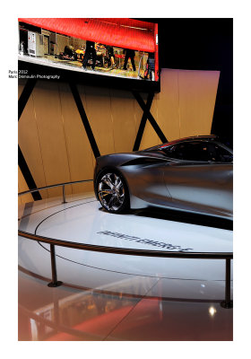 Mondial de l'Automobile 2012 - 65
