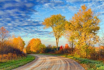 Autumn Back Road 29802-3