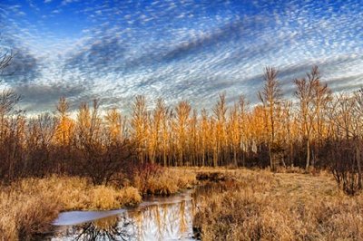 Brassils Creek At Sunrise 20121125