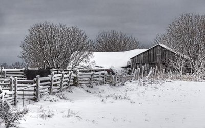 Winter Barn 32397