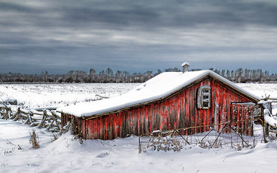 Little Red Shed 32428