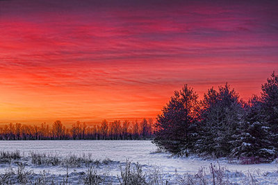 Winter Sunrise 32513