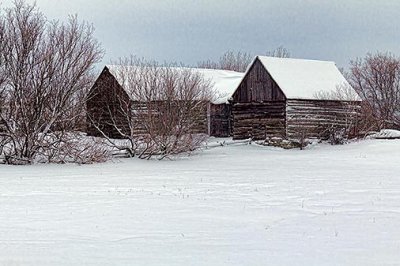 Snowy Old Log Barns 32688