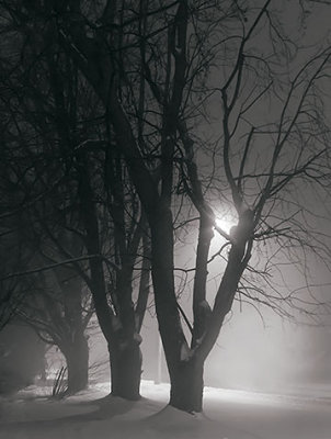 Foggy Winter Night 33254,59-64B