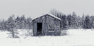 Winter Shed 33228-9