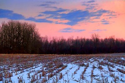 Winter Field At Sunrise 33376