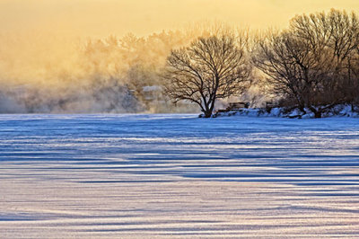 Misty Rideau Canal At Sunrise 33590