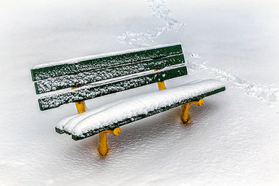 Snowy Bench 20130228