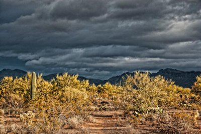 Looming Sky Over Sonoran Desert 75388