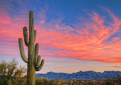 Arizona At Sunrise 78203-4