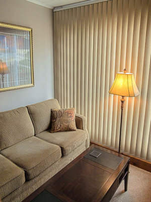 New Living Room Blinds DSCF0339