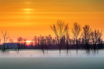 Sunrise Ground Fog 20130501