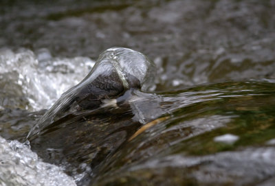 DS2_8268.jpg