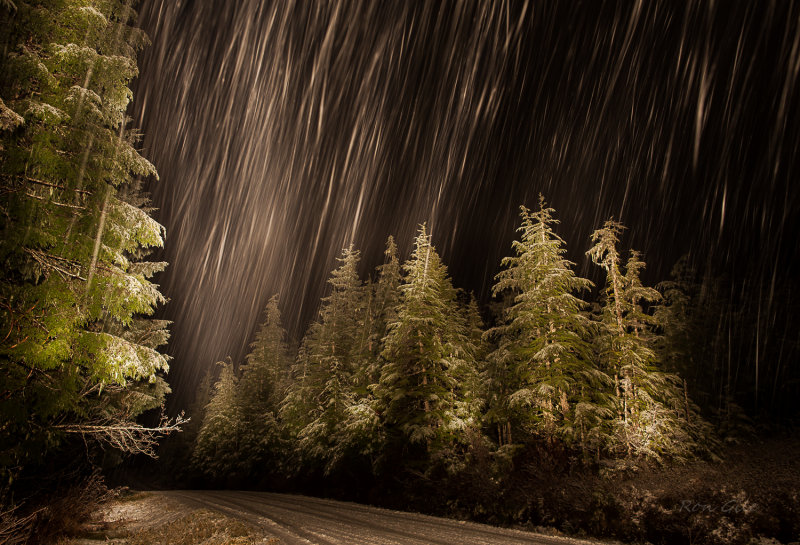 snow trails-0129.jpg