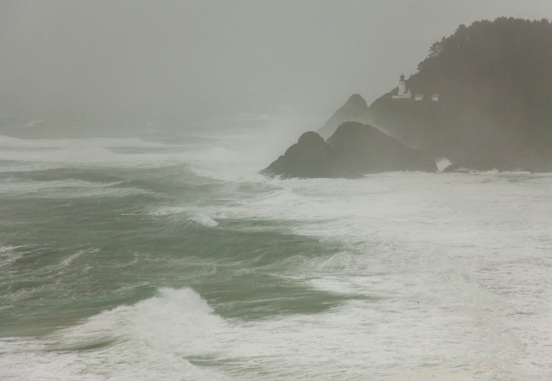 heceta 100-5205.jpg