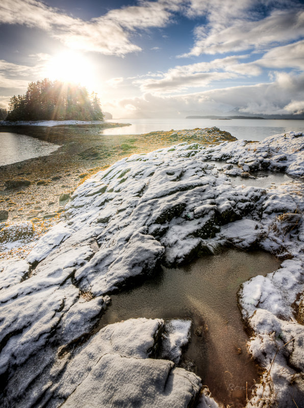 sunny january--3.jpg