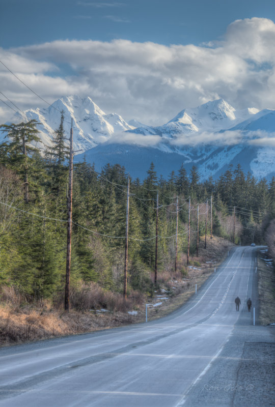 Sunny north douglas--5.jpg