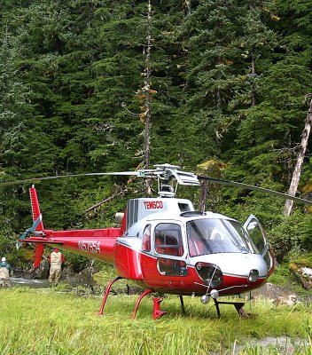 N57954 on a small stream.jpg