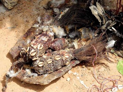 Fetishes of healer and soothsayer Kone Hamadou in Nafona (Gouin tribe), Burkina Faso.