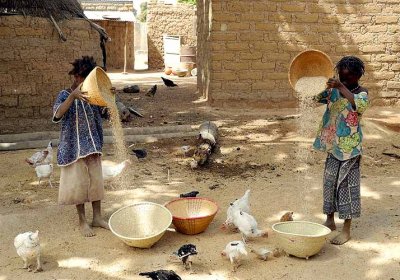 Girls winnowing millet , Burkina Faso