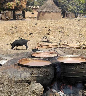 Preparation of millet beer, Burkina Faso