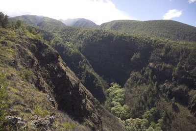 Taking a Break - Lahaina Canyon