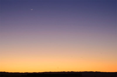Thin Moon at sunset