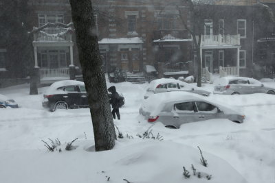 Journe de neige