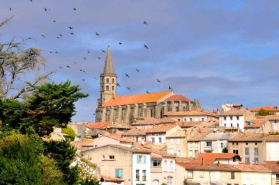 PAYSAGES DE L'AUDE / LANDSCAPES OF AUDE
