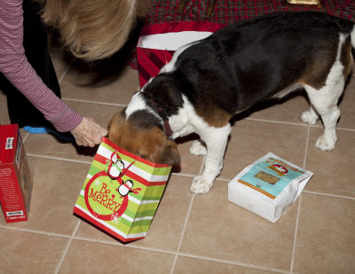 I love Christmas...Especially the biscuits