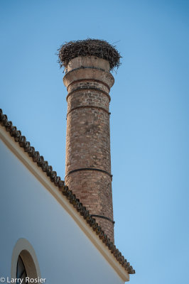 Stork Nest