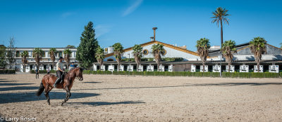 Royal Andalusian School of Equestrian Art
