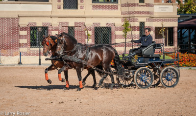 Royal Andalusian School of Equestrian Art