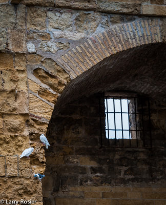 Almodovar Gate