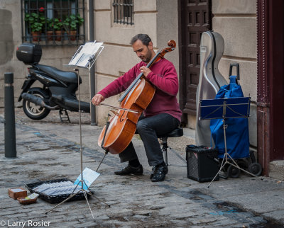 Street Musician