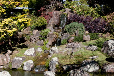 Japanese Tea Garden