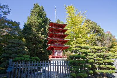 Japanese Tea Garden