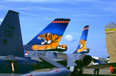 FFD 1991 TIGER TAILS.jpg