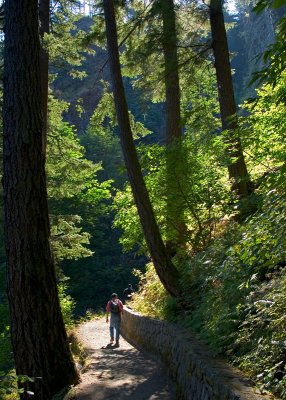 Dad and George on the Wahkeena Trail