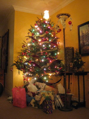 Our Little Tree