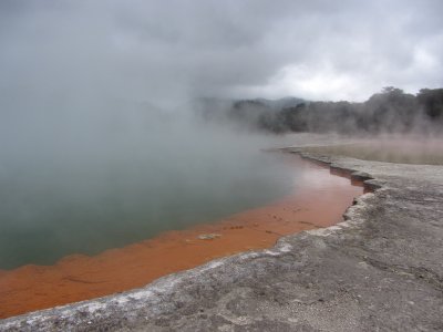 Champagne Pool - Rotorua