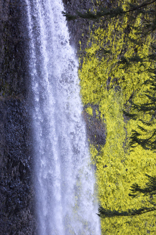 Falls and lichen