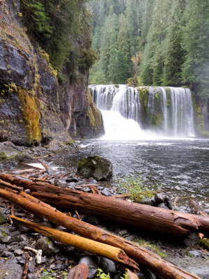 Logs below the upper Falls