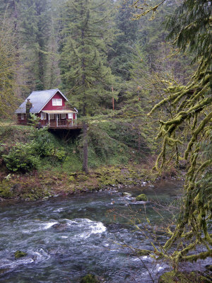 Cabin along the Lewis River