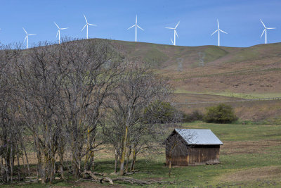 Wind mill gallery