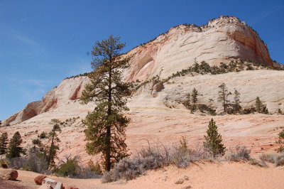 Zion Natonal Park